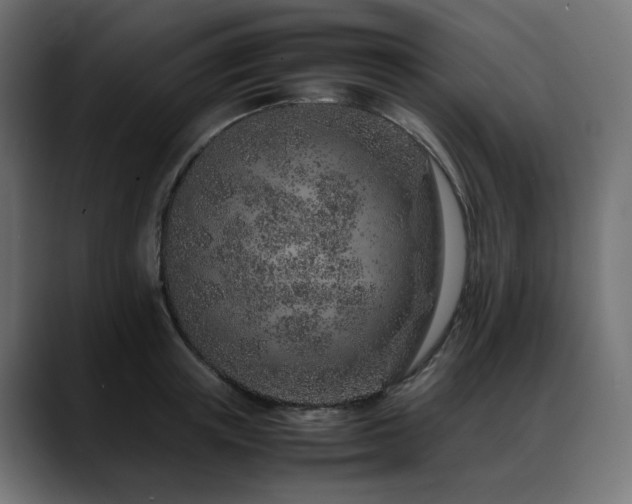 X0000088620851200705251240