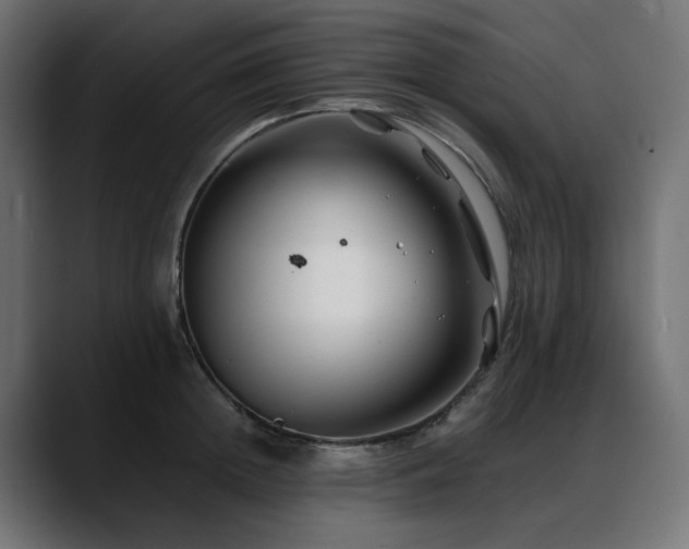 X0000088620852200705251240