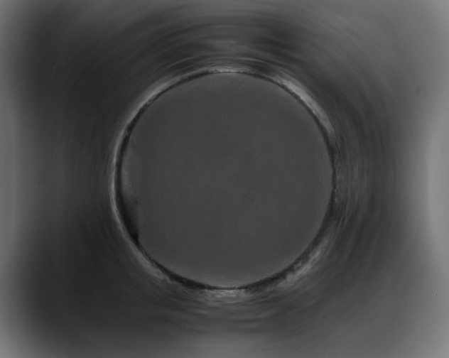 X0000088620853200705251240