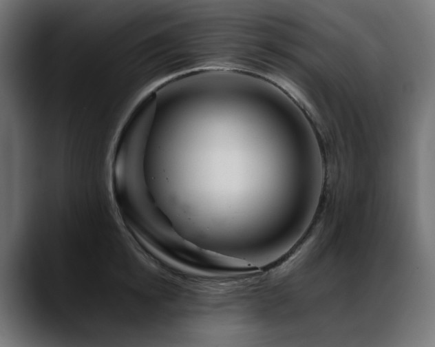 X0000088620854200705251240