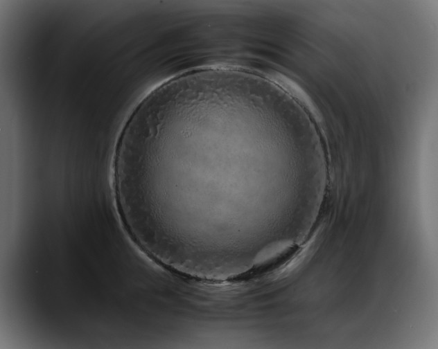 X0000088620855200705251240