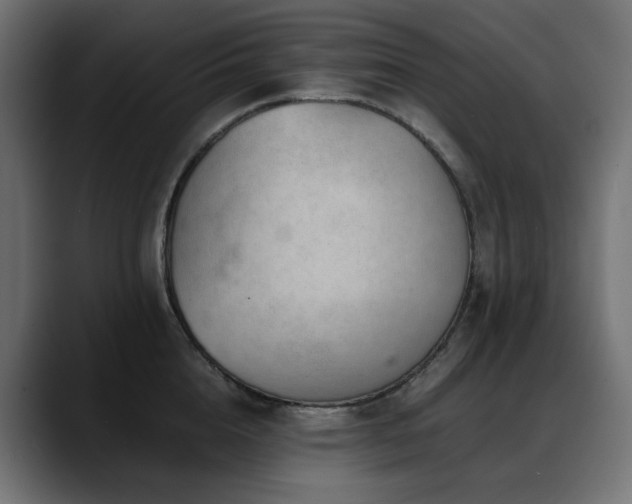 X0000088620856200705251240