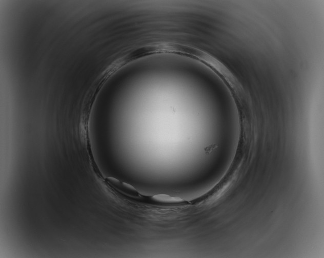 X0000088620857200705251240