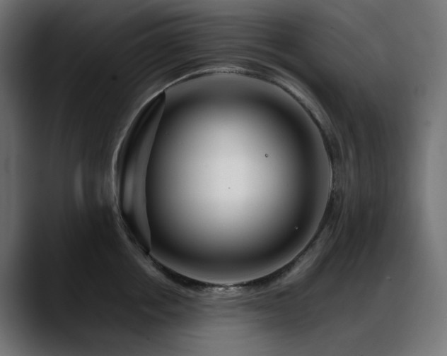 X0000088620858200705251240