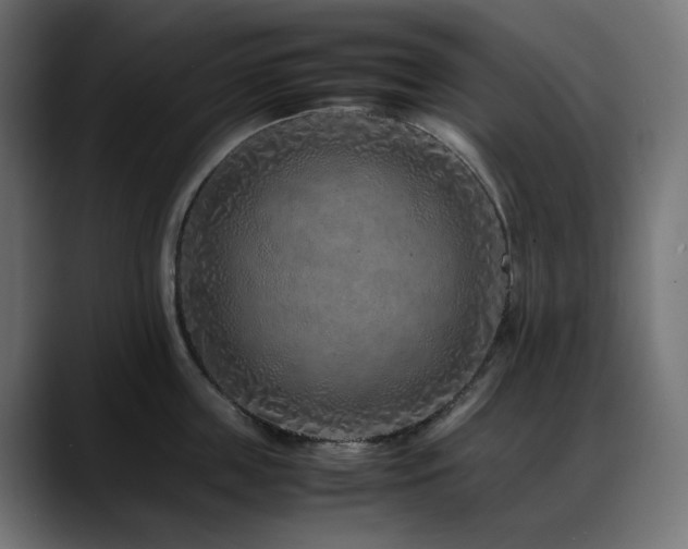 X0000088620859200705251240