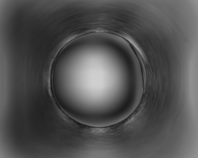 X0000088620861200705251240