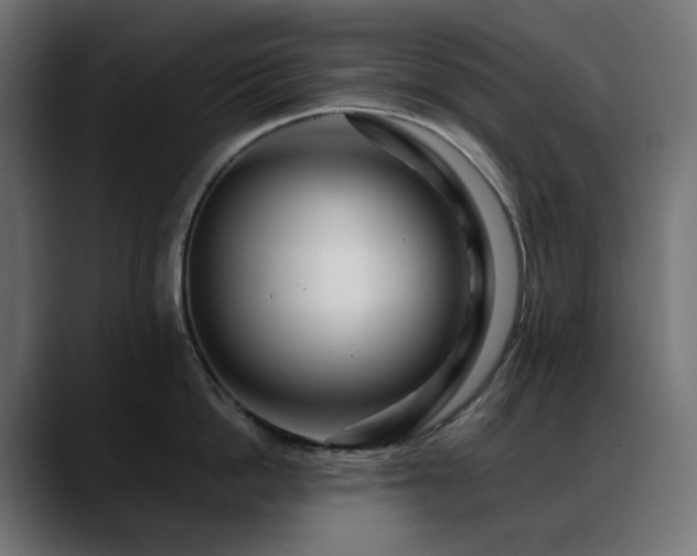 X0000088620862200705251240