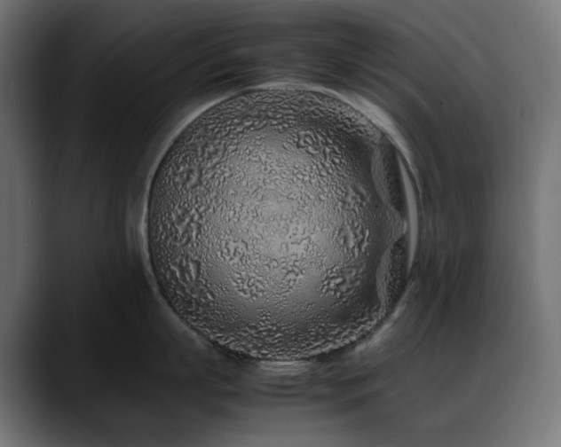 X0000088620863200705251240