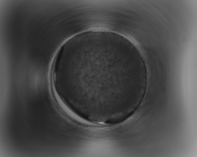 X0000088620864200705251240