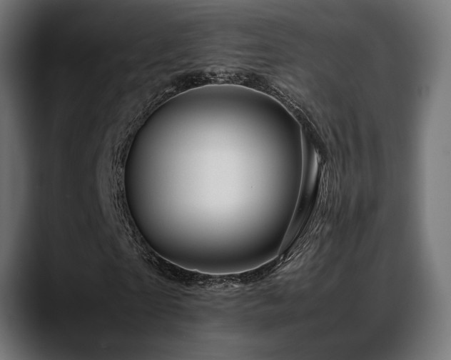 X0000088620865200705251239