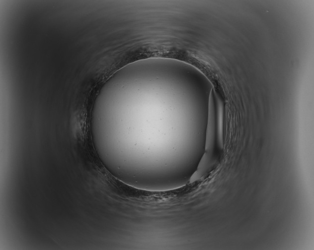 X0000088620867200705251239