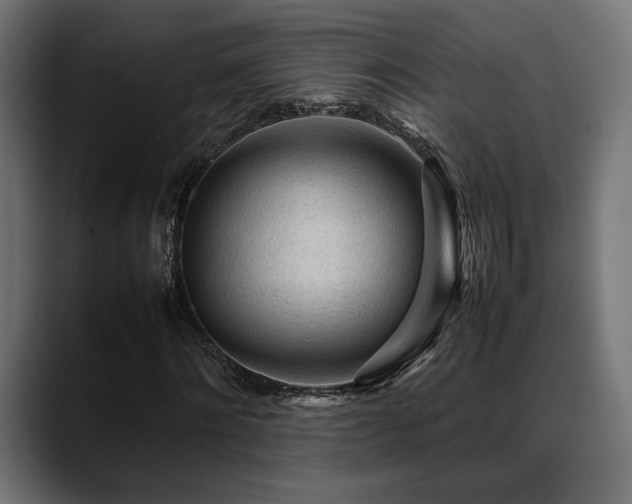 X0000088620868200705251239