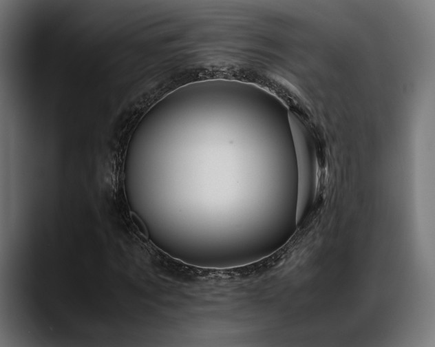 X0000088620869200705251239