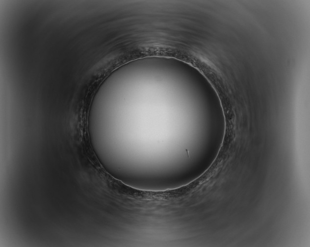 X0000088620870200705251239