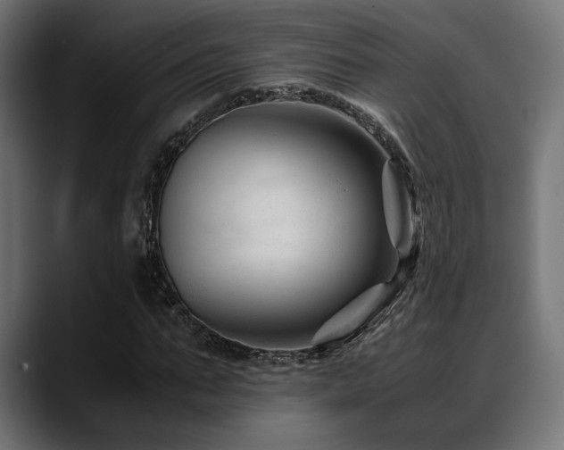 X0000088620871200705251239