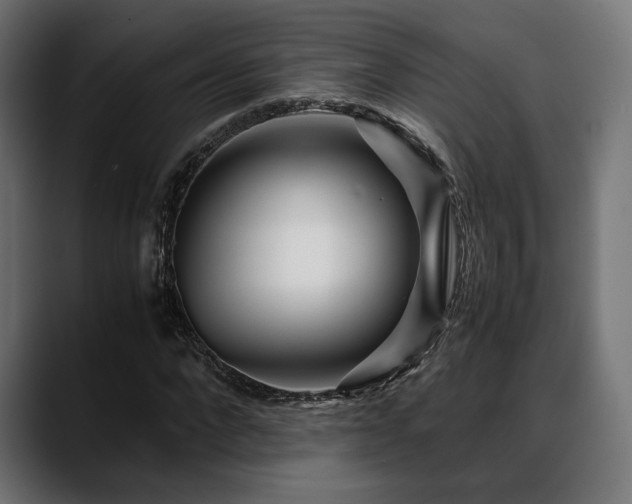 X0000088620872200705251239