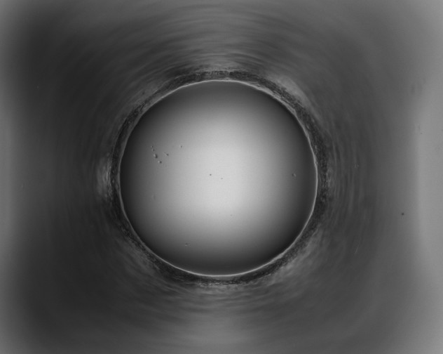 X0000088620873200705251239