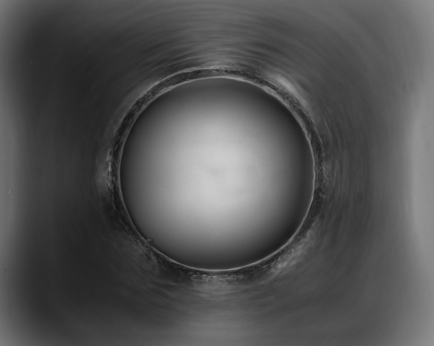 X0000088620875200705251239