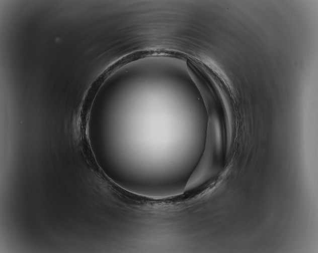 X0000088620876200705251239