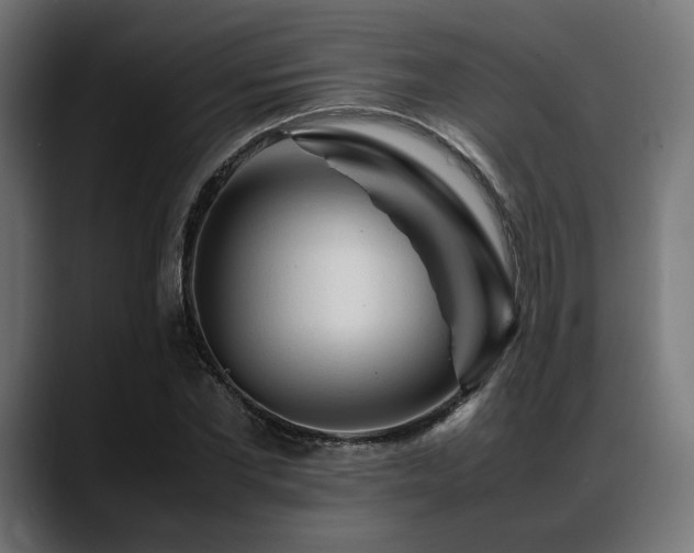 X0000088620877200705251239