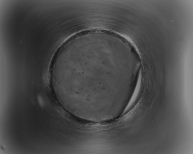 X0000088620879200705251239