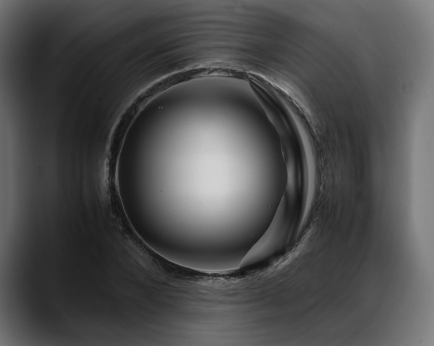 X0000088620880200705251239