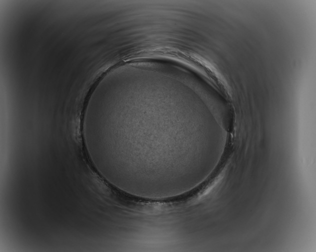X0000088620881200705251239