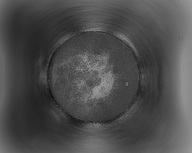 X0000088620882200705251239