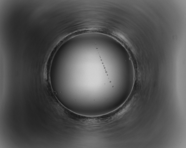 X0000088620883200705251239