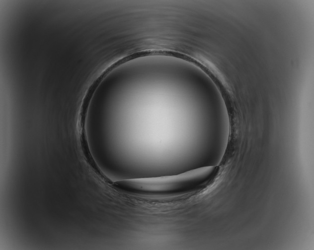 X0000088620885200705251239