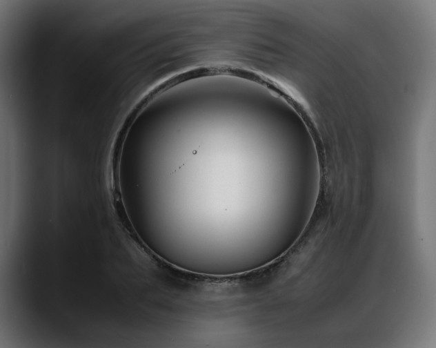 X0000088620887200705251239