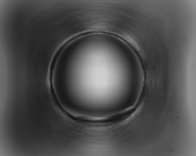 X0000088620888200705251239