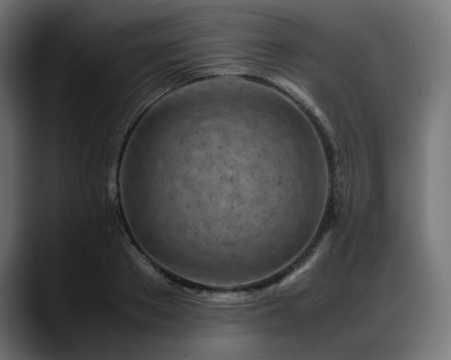 X0000088620889200705251239
