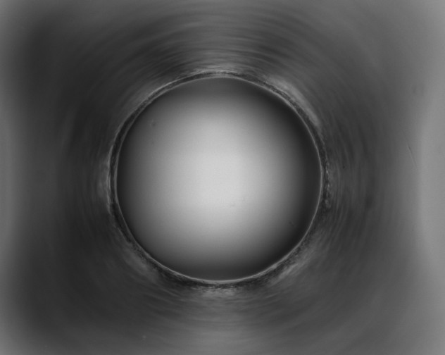 X0000088620890200705251239