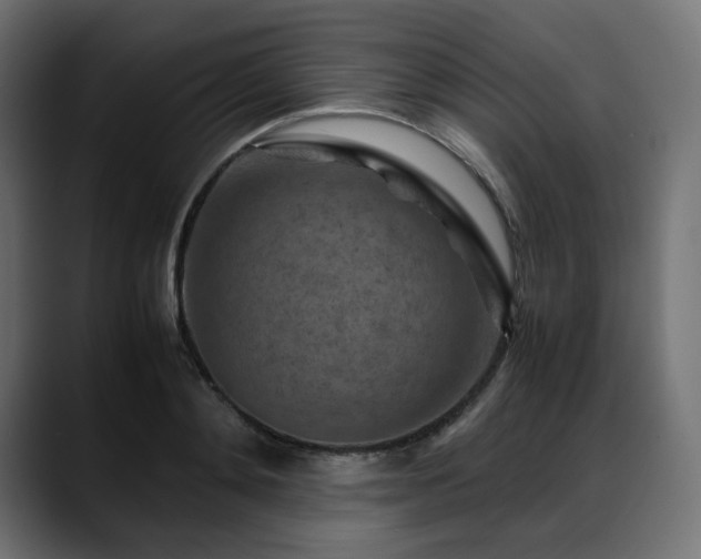 X0000088620892200705251239