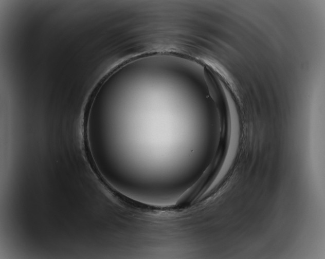X0000088620894200705251239