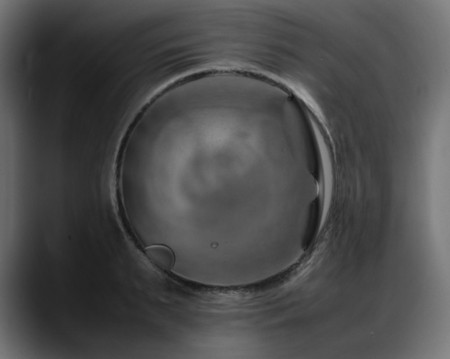 X0000088620895200705251239