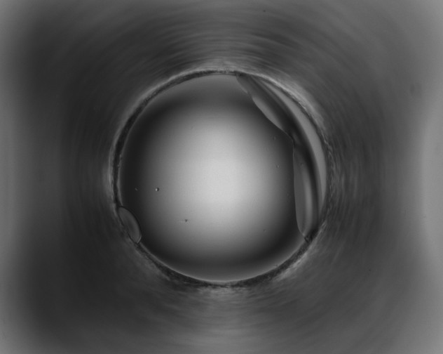 X0000088620896200705251239