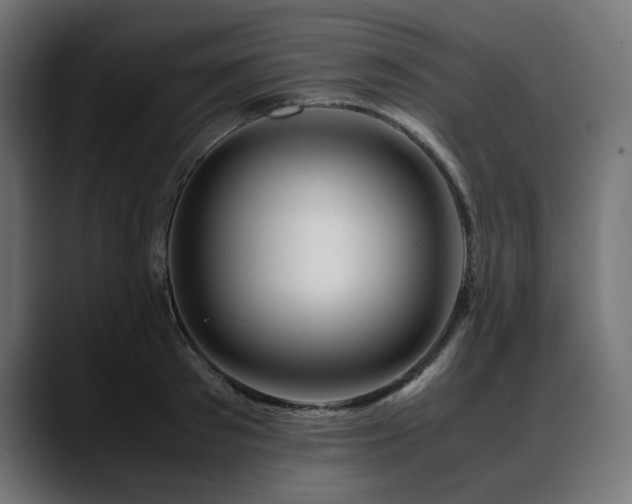 X0000088620897200705251239