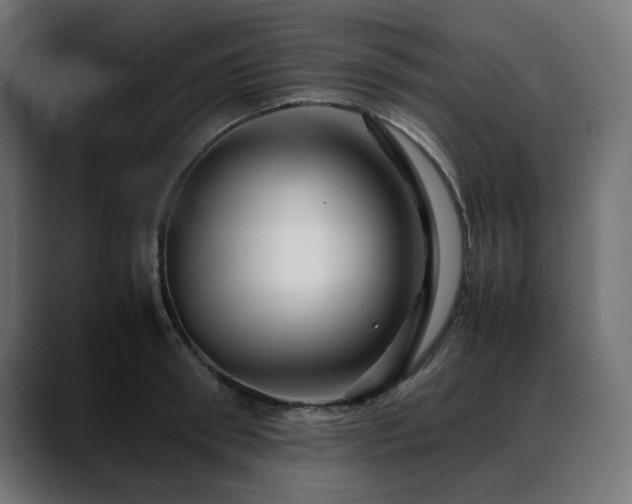 X0000088620898200705251239