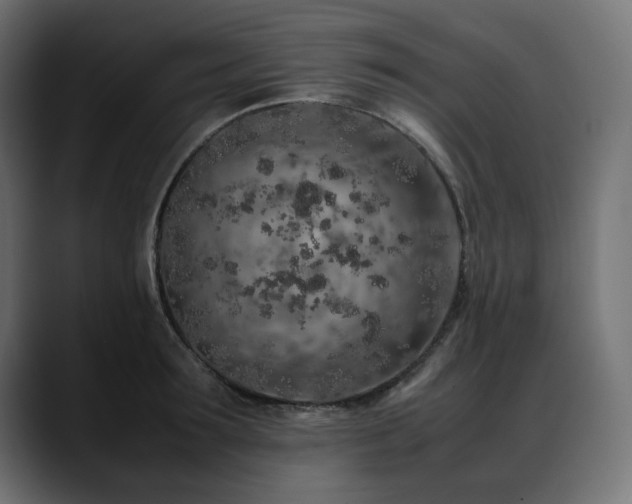 X0000088620899200705251239