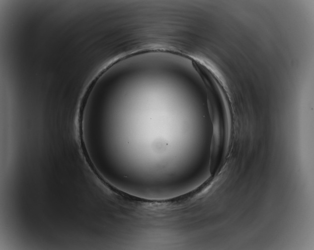 X0000088620902200705251239