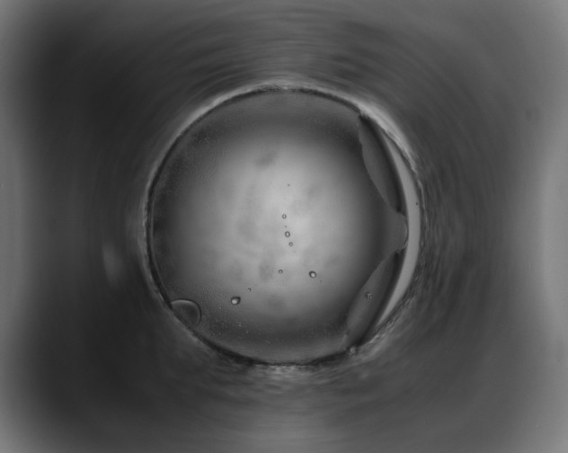 X0000088620903200705251239
