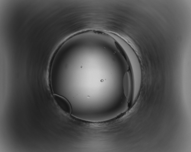 X0000088620904200705251239