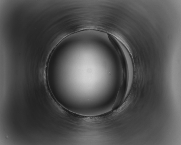 X0000088620906200705251239