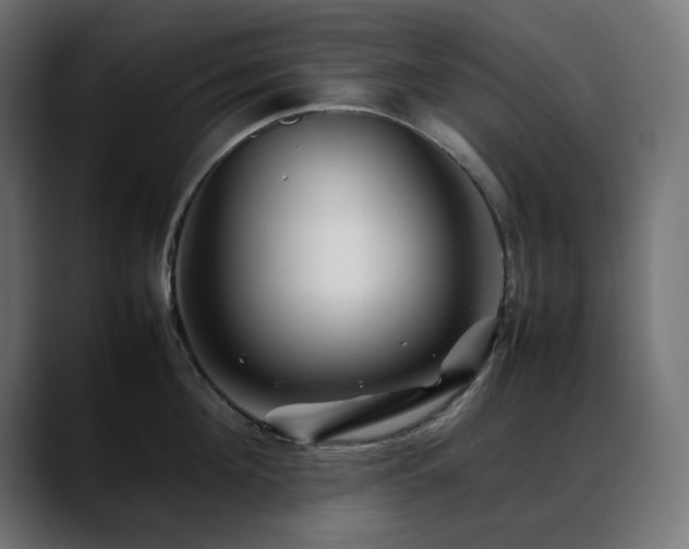 X0000088620908200705251239
