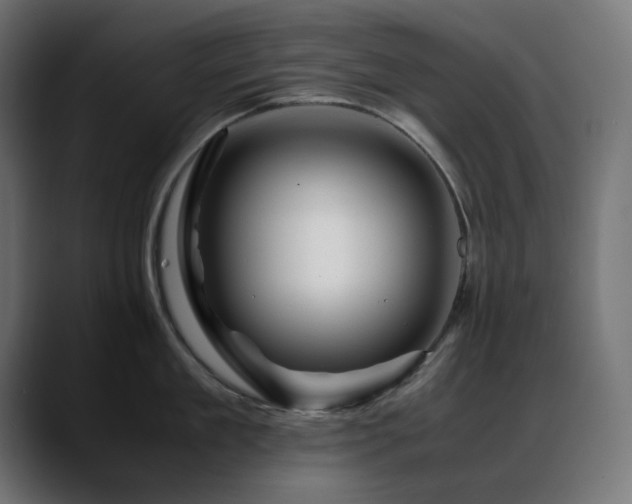 X0000088620909200705251239