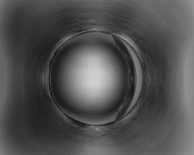 X0000088620910200705251239