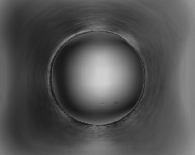X0000088620912200705251238