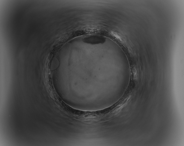 X0000088620913200705251238